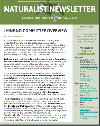 volunteer newsletter lousiana